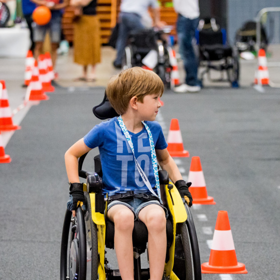 Koninklijke Jaarbeurs En VeineDAGEN Bundelen Krachten Voor Grootste ...